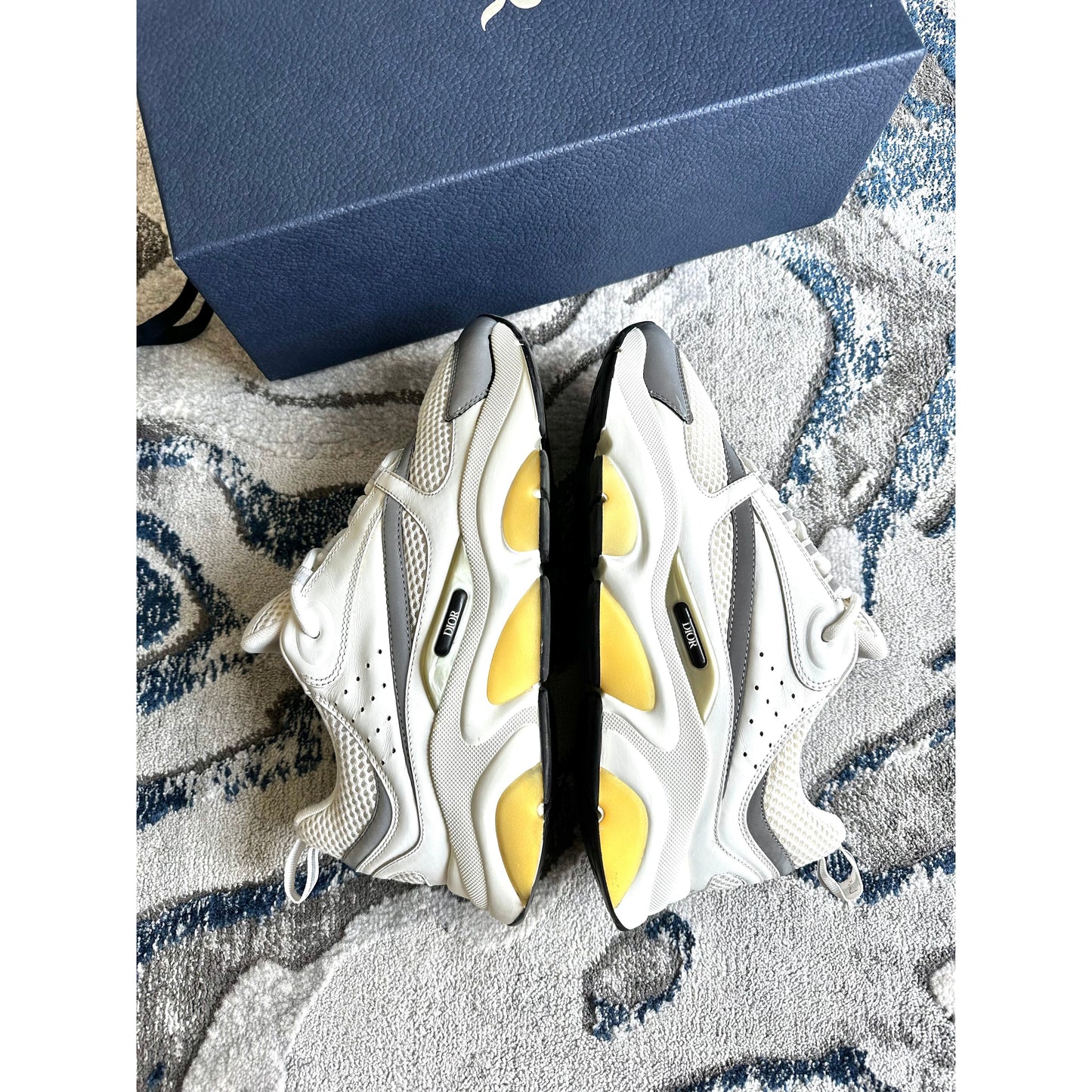 Dior B22 White Grey Reflective