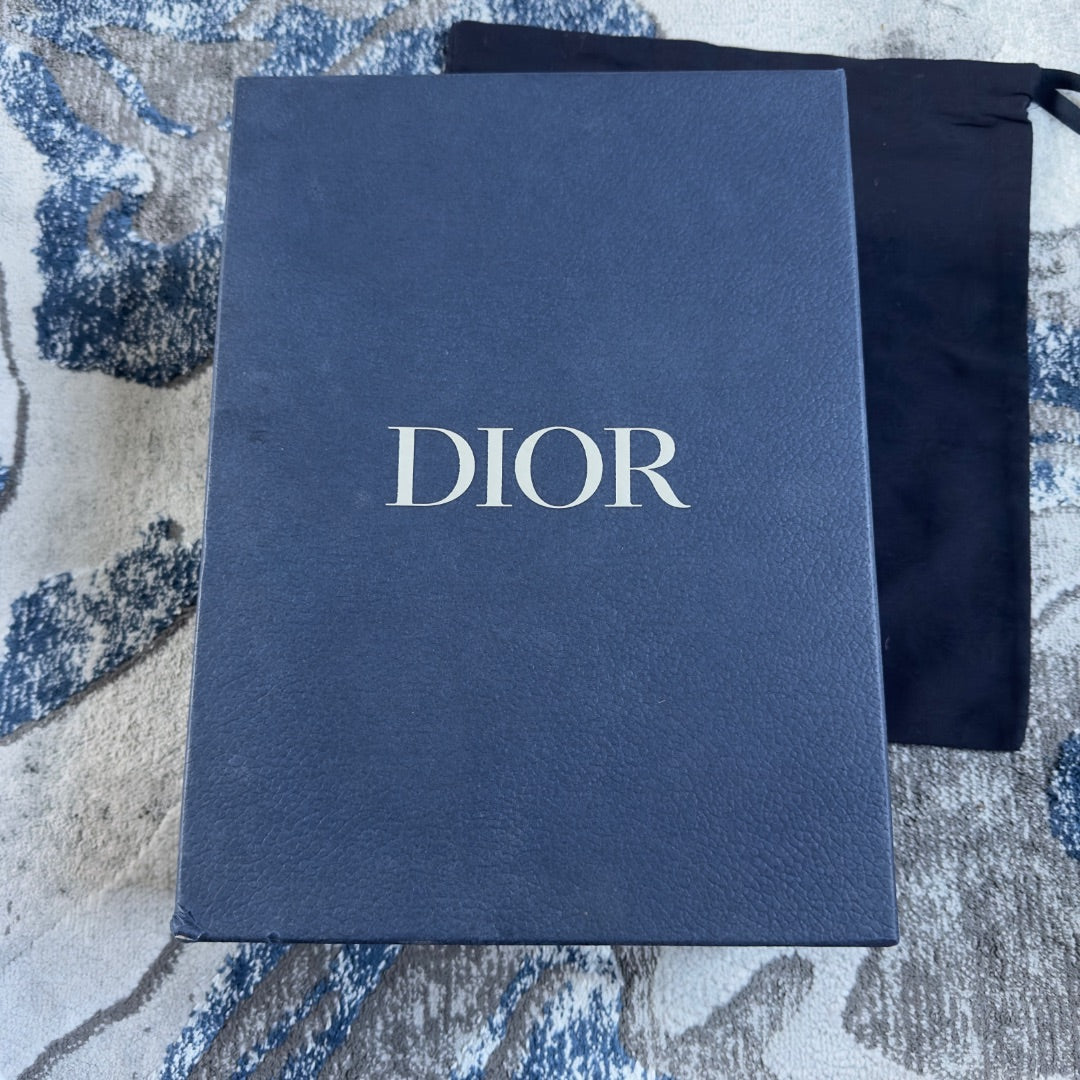 Dior B22 Baby Blue White