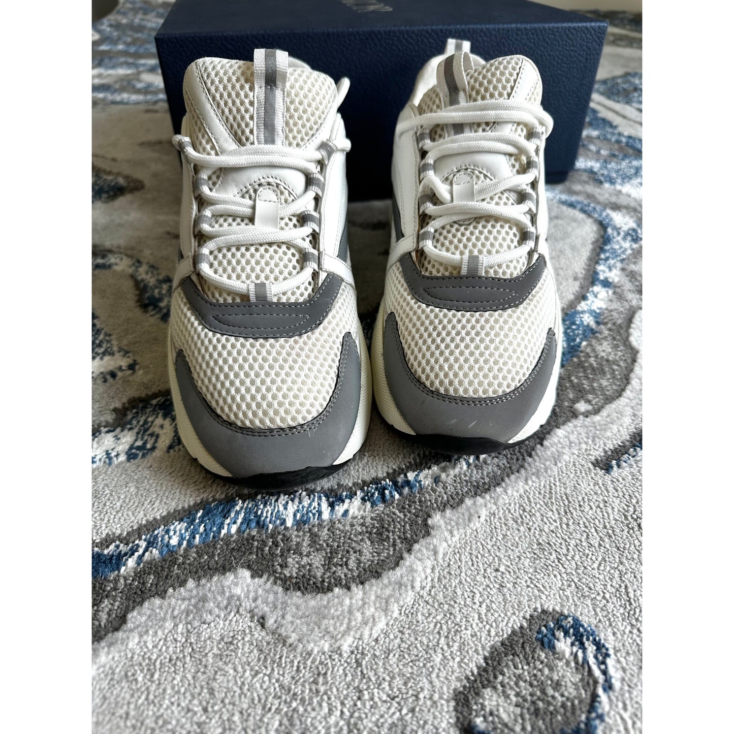 Dior B22 White Grey Reflective
