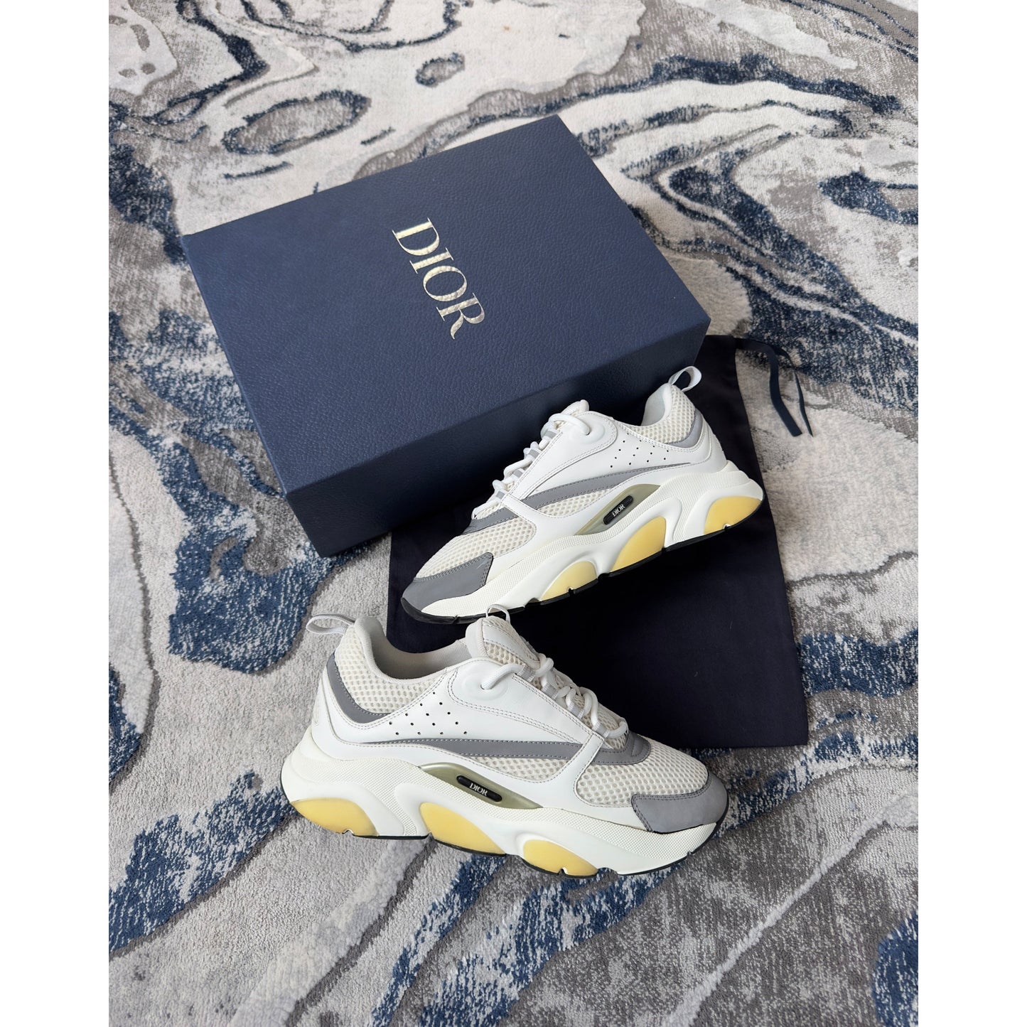 Dior B22 White Grey Reflective