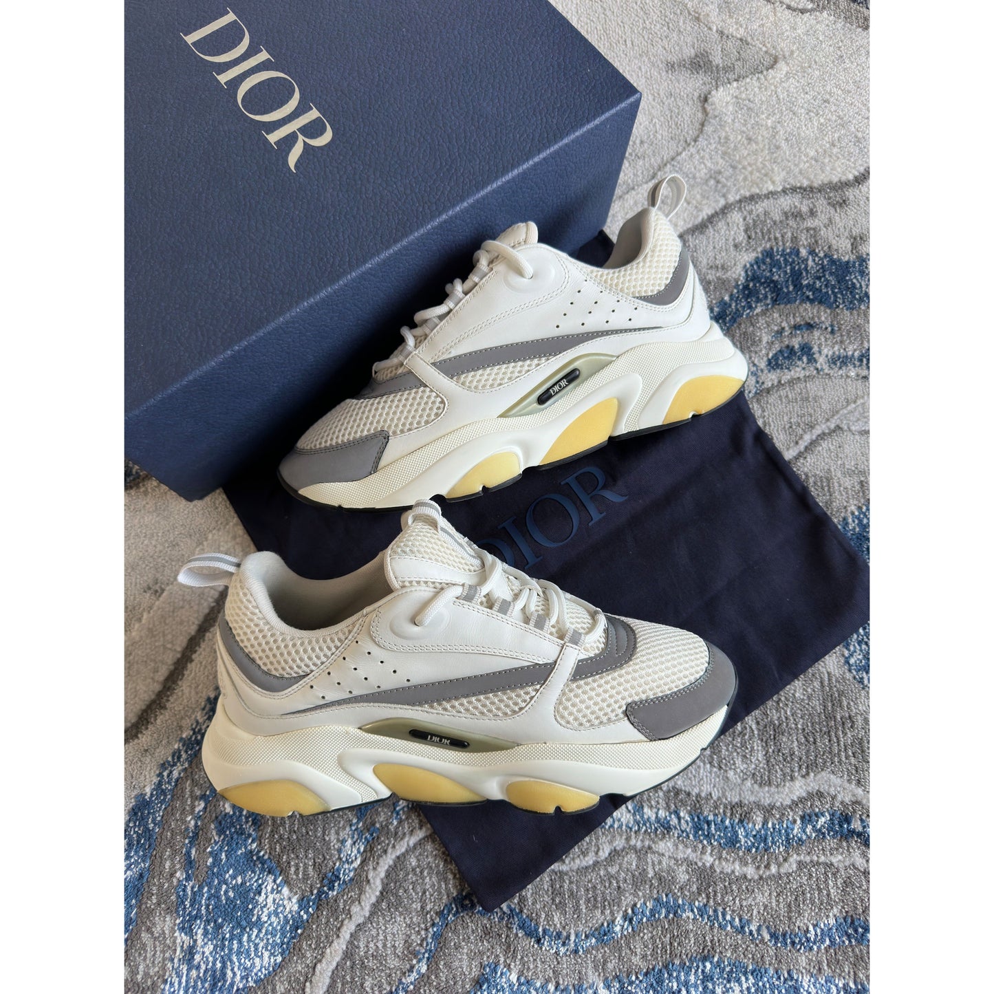 Dior B22 White Grey Reflective