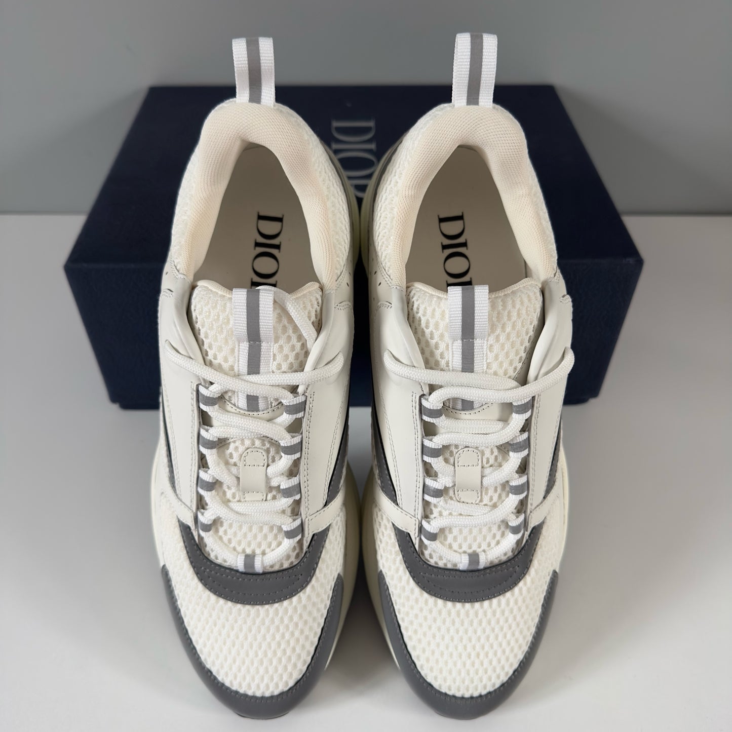 Dior B22 Trainers