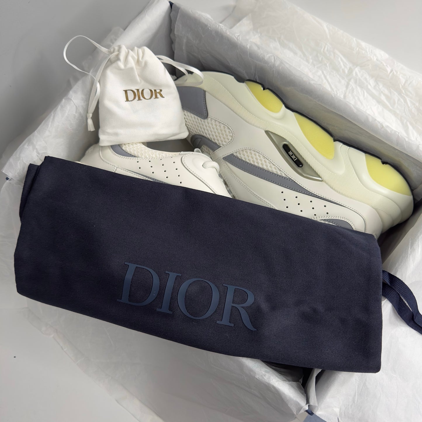 Dior B22 Trainers