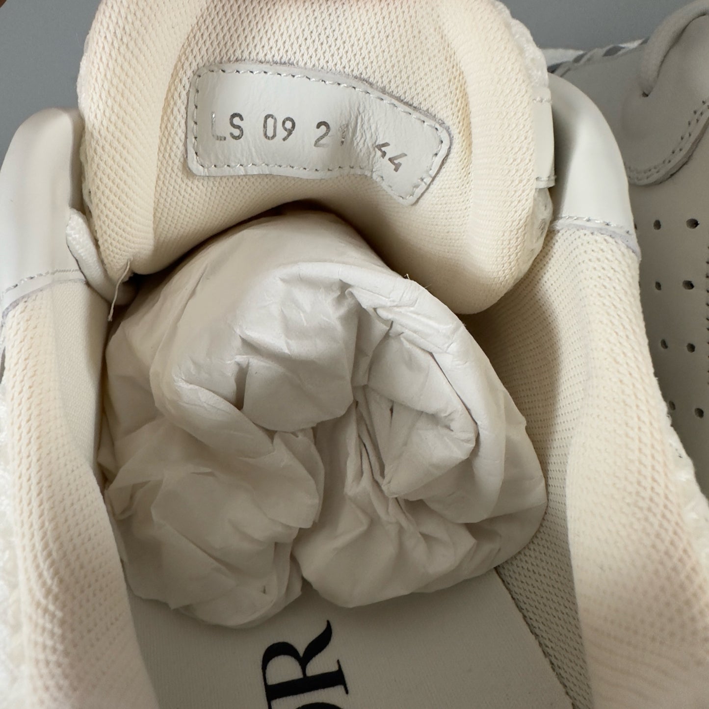 Dior B22 Trainers