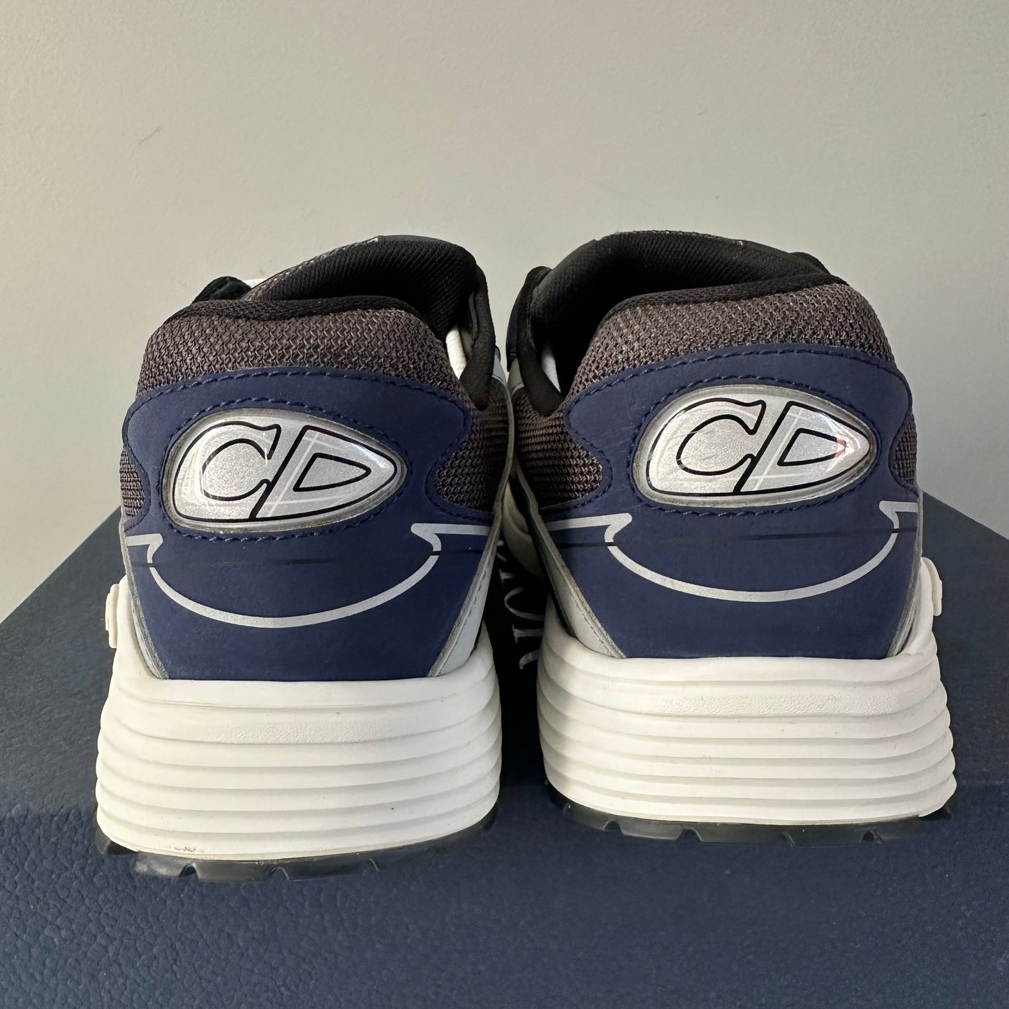 Dior B30 Trainer