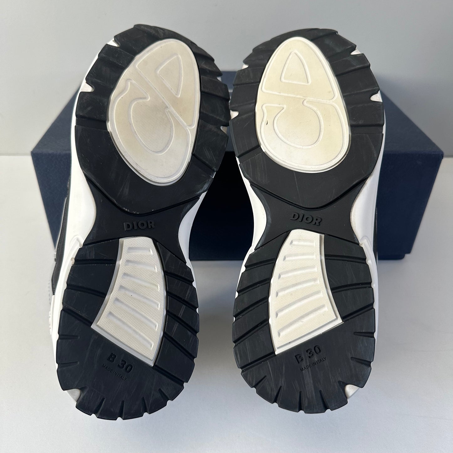 Dior B30 Trainer