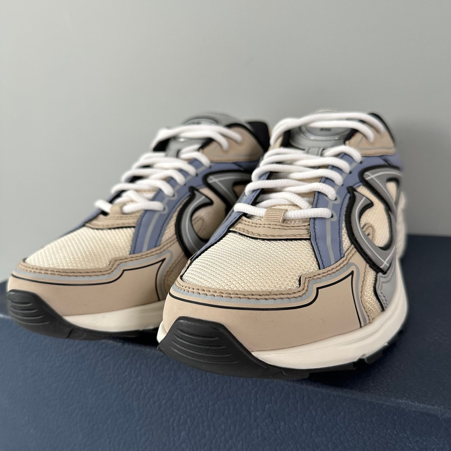 Dior B30 Trainer