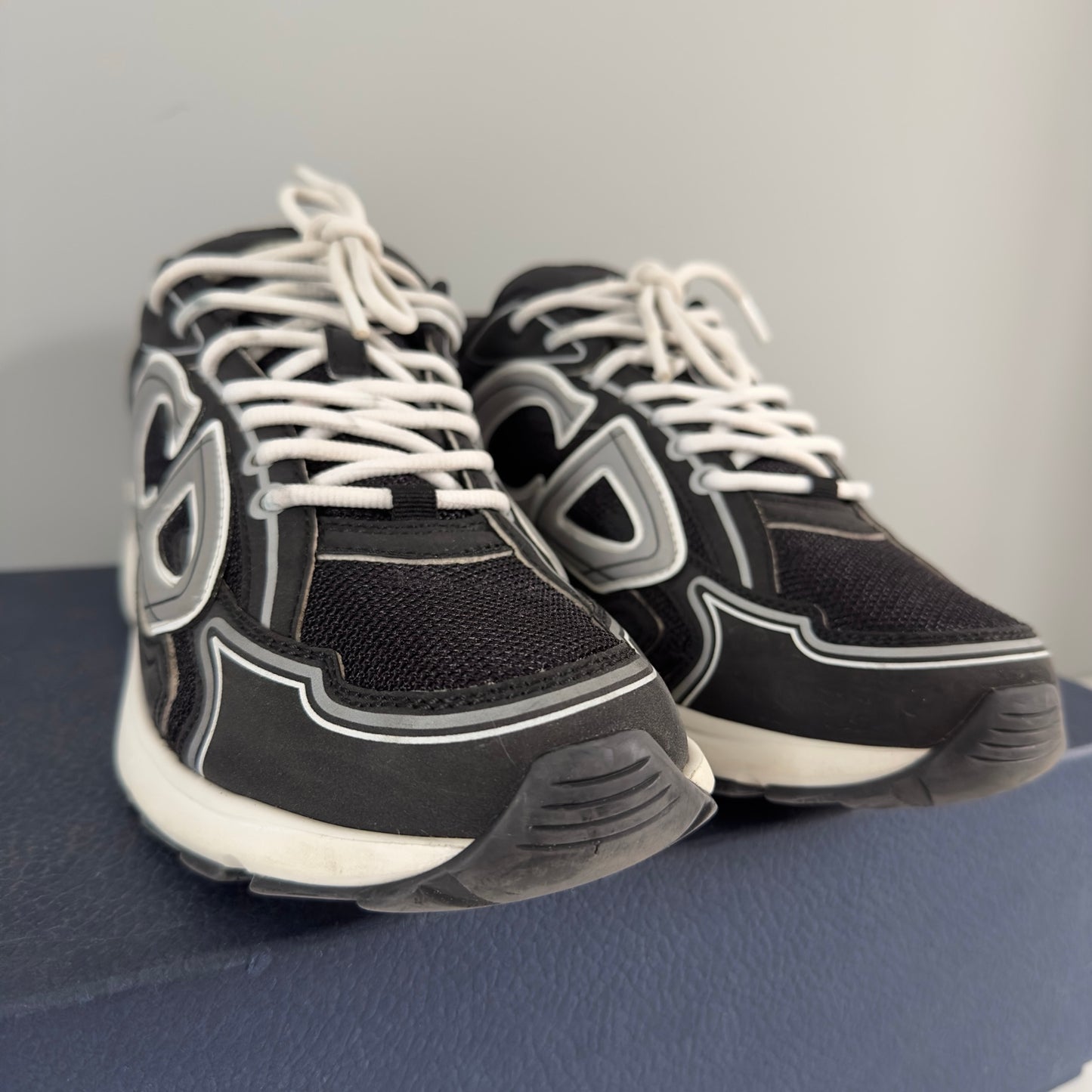 Dior B30 Trainer