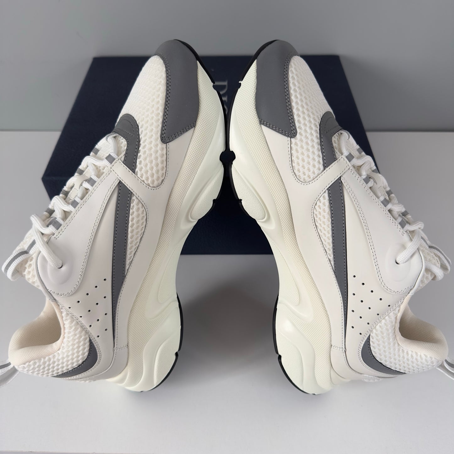 Dior B22 Trainers