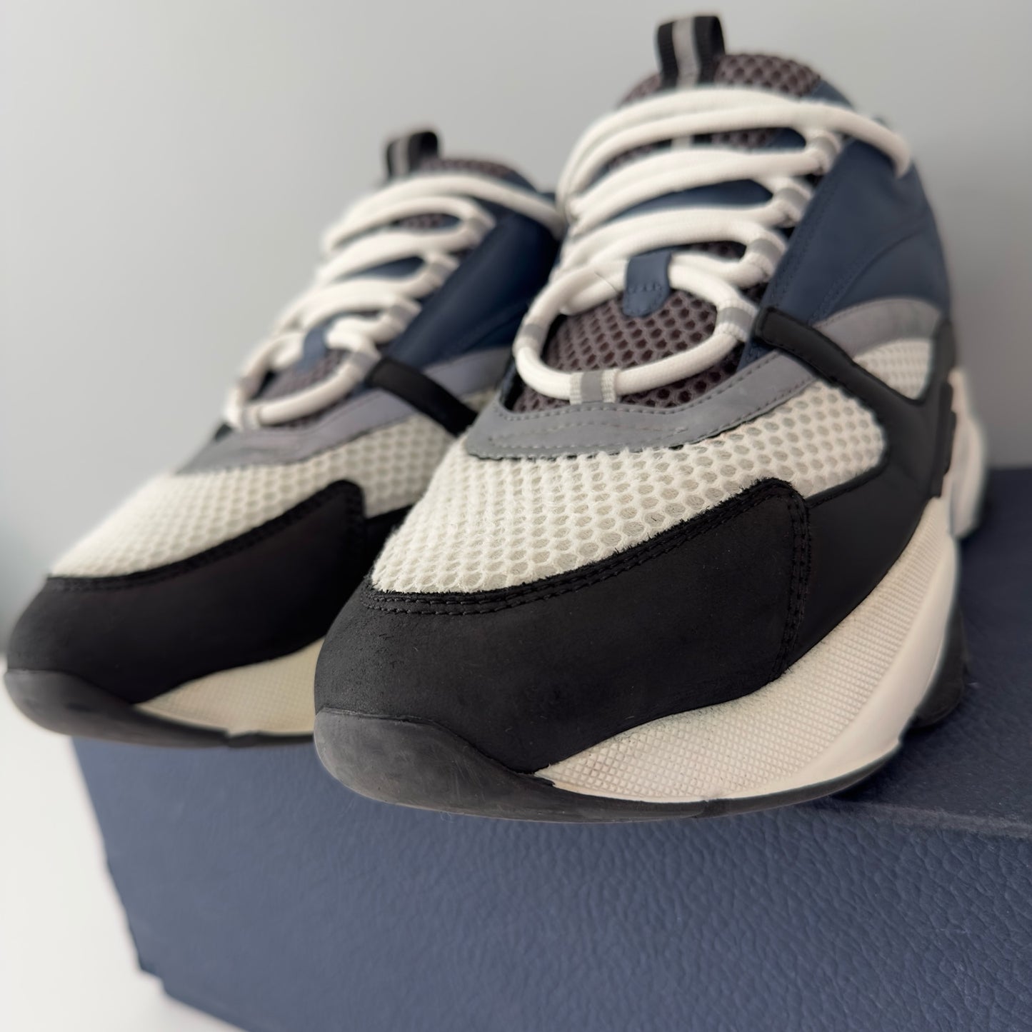 Dior B22 Trainers