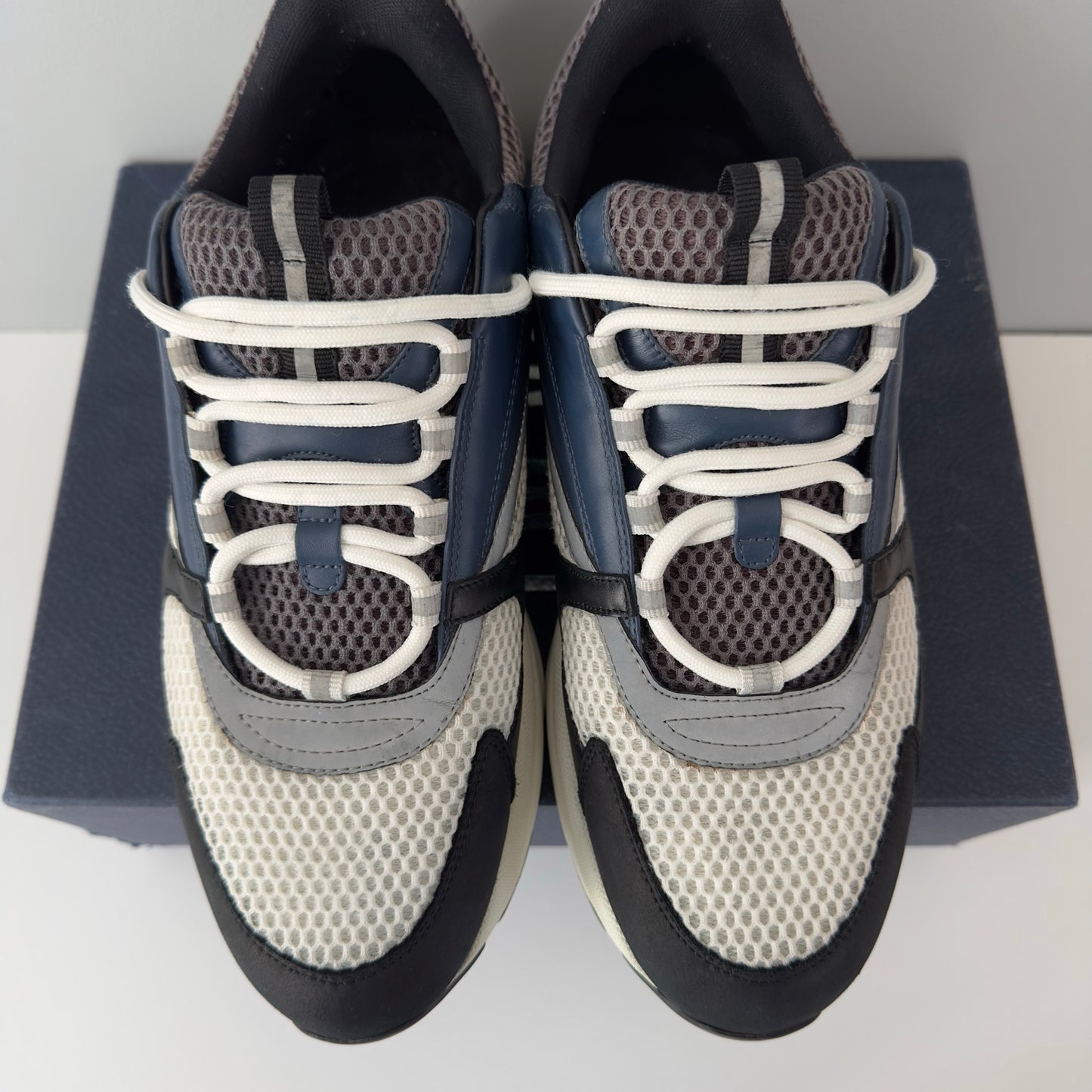 Dior B22 Trainers