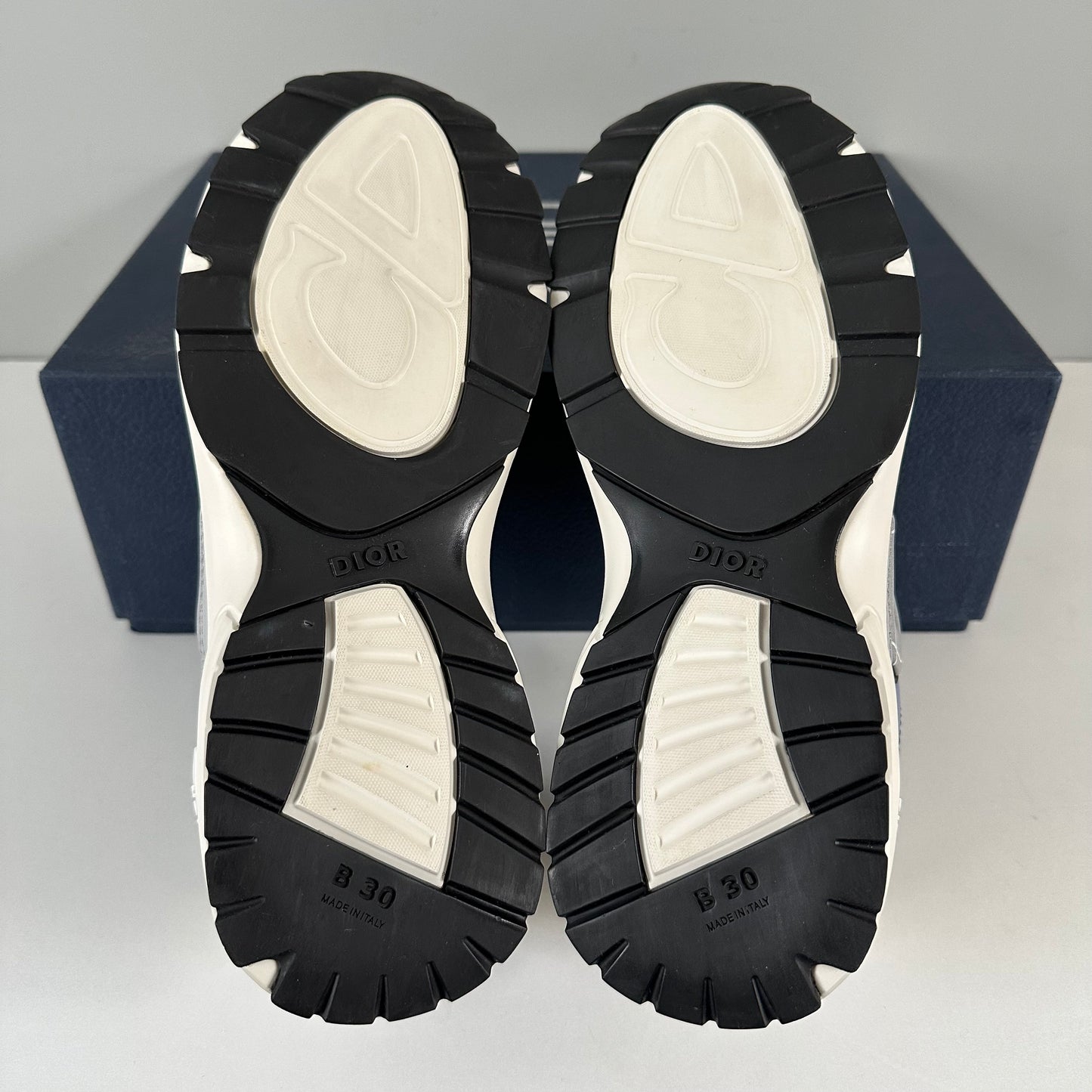 Dior B30 Trainer