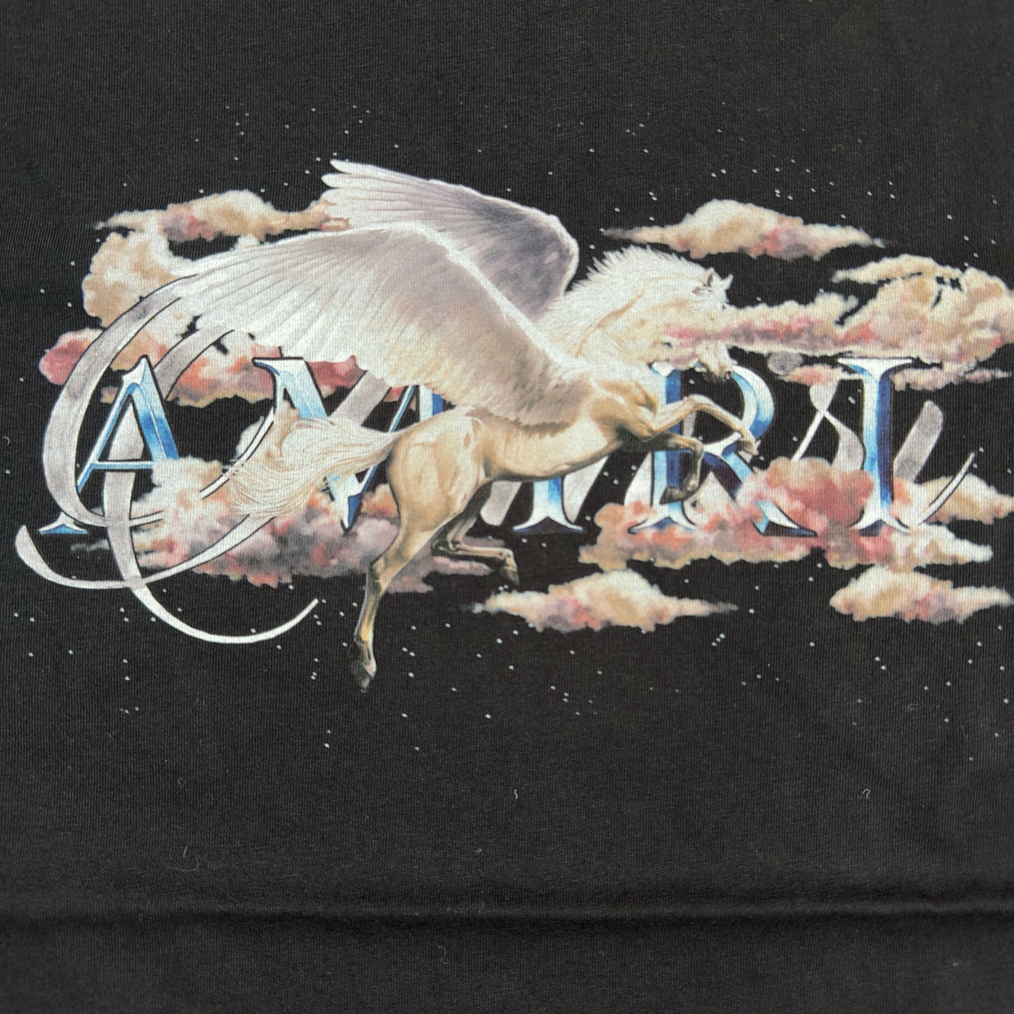 Amiri Pegasus T-Shirt - Black M