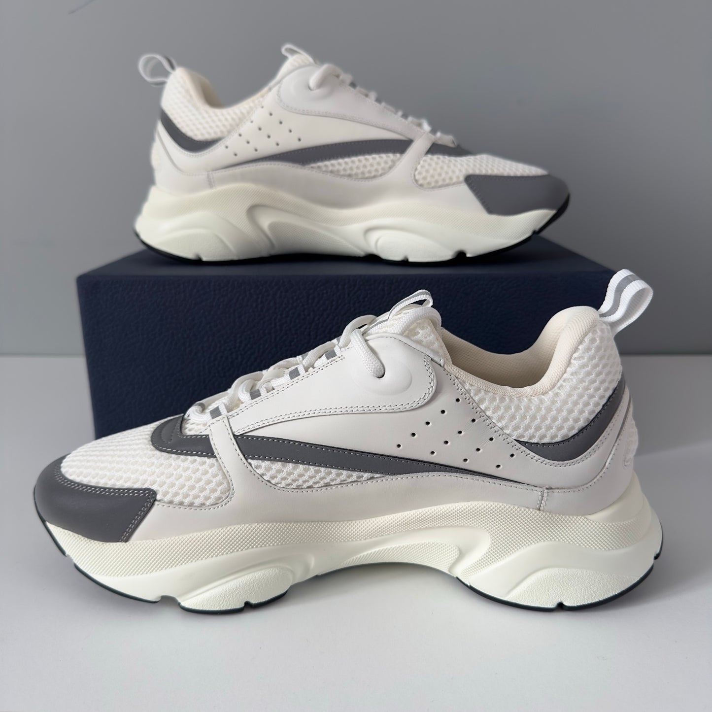 Dior B22 Trainers