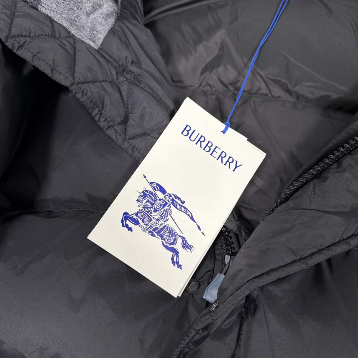 Halsby Down Puffer Jacket Black | Burberry