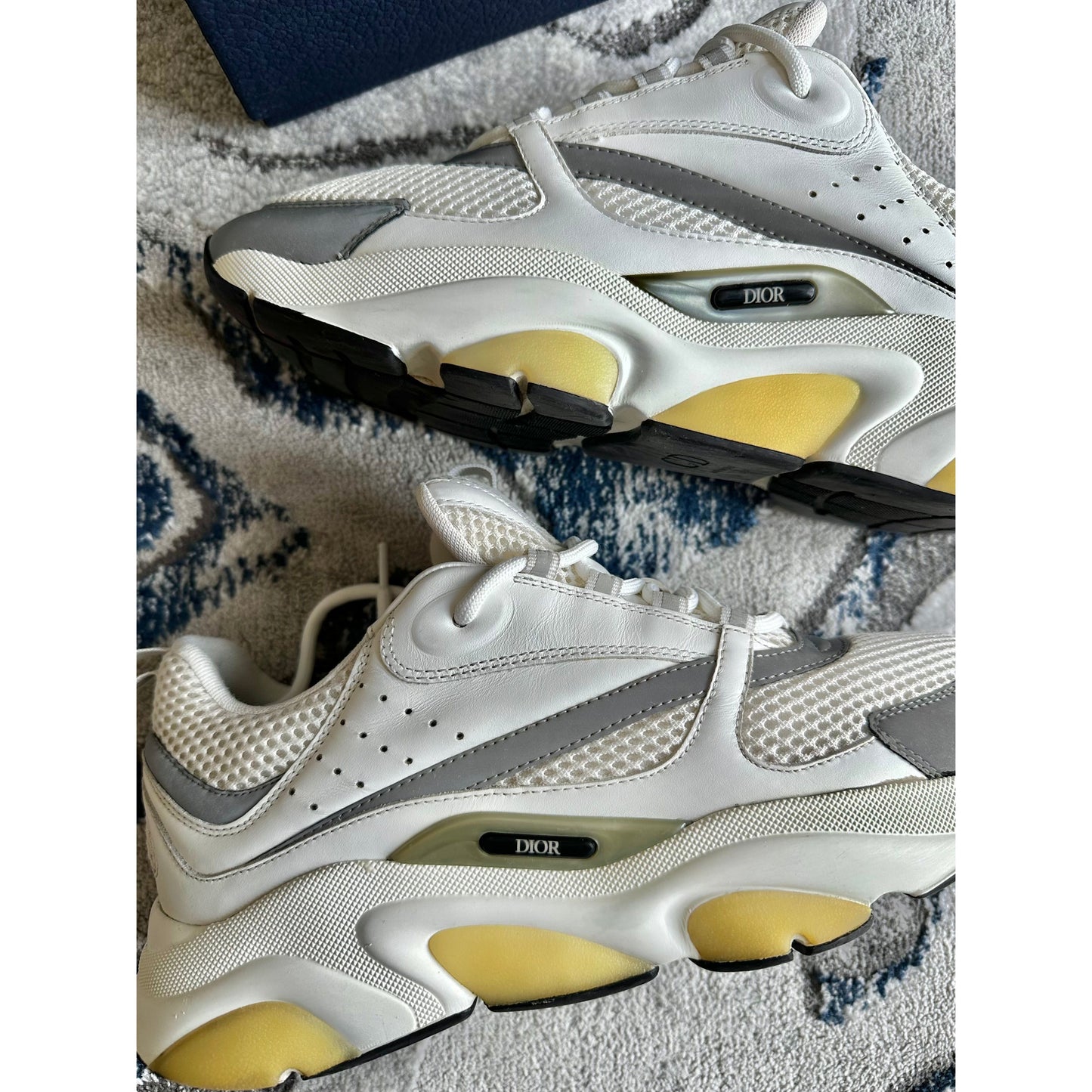 Dior B22 White Grey Reflective