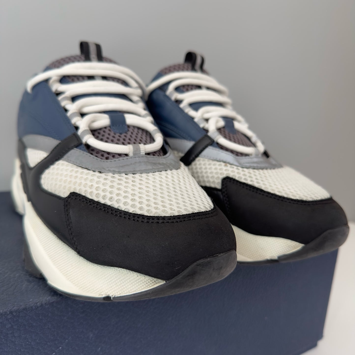 Dior B22 Trainers