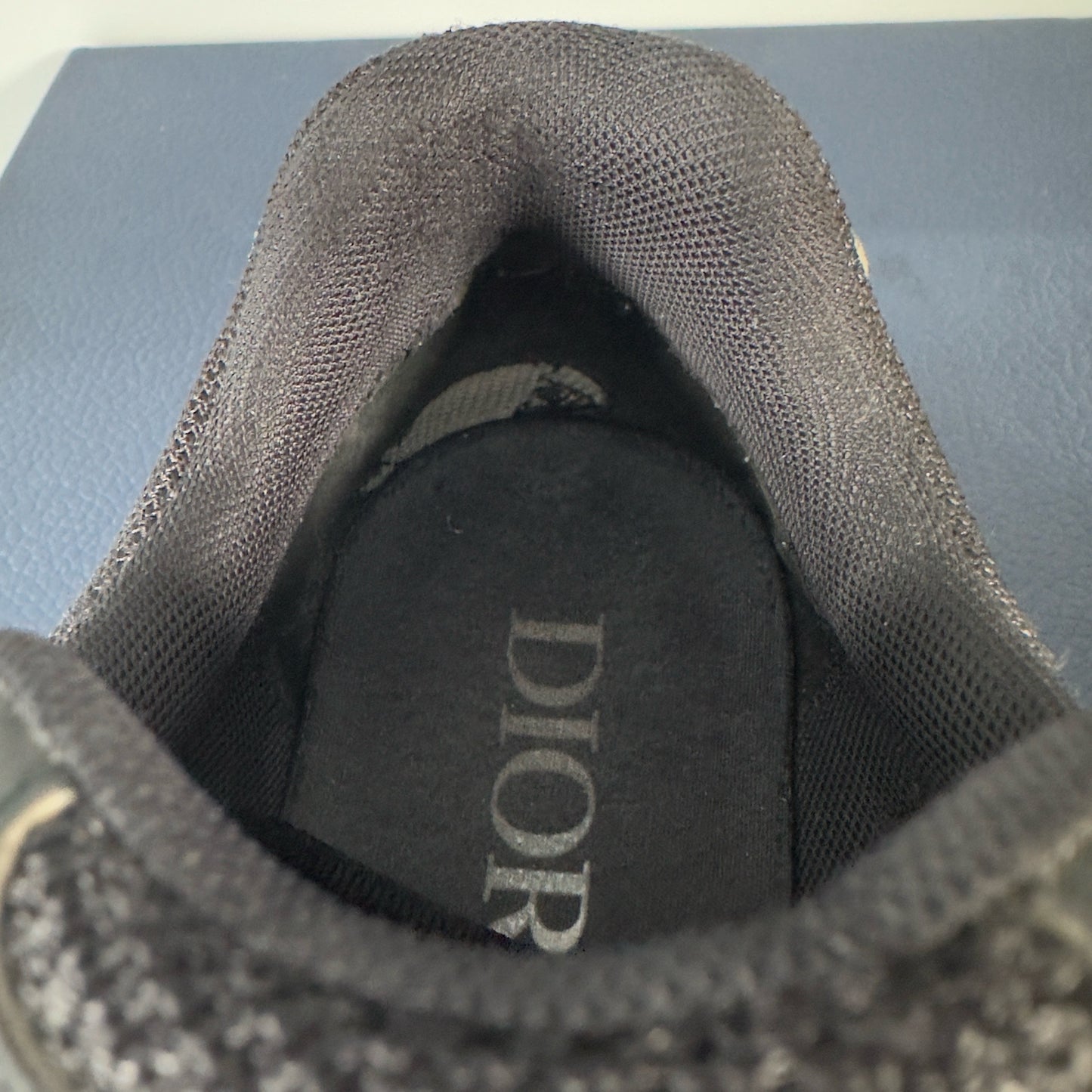 Dior B30 Trainer